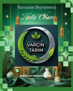 instagram gönderisi ramazan bayramı