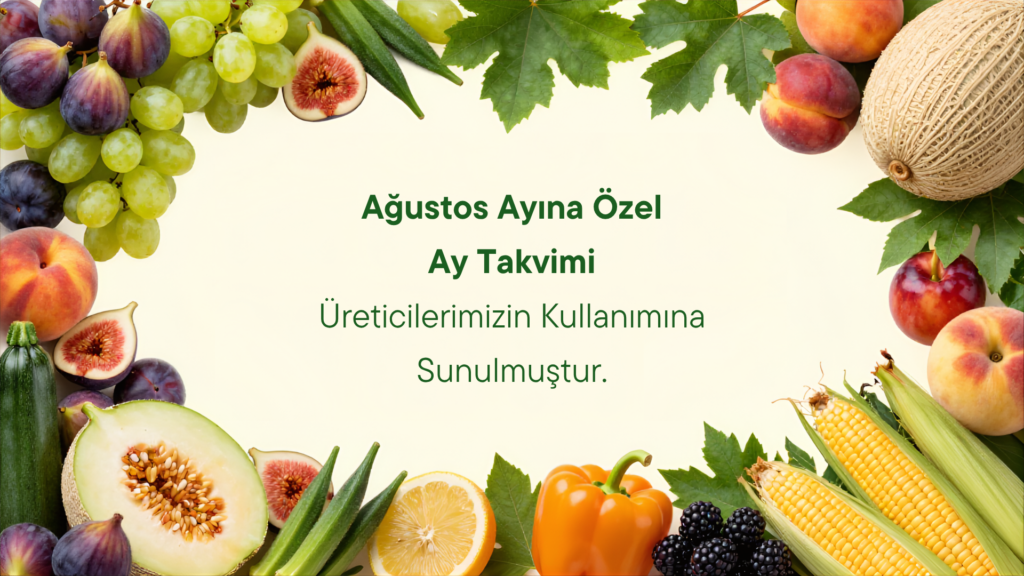 ağustos ay takvimi 16 9